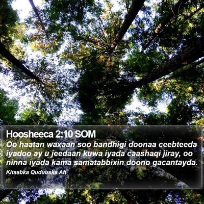 Hoosheeca 2:10 SOM Bible Verse Image
