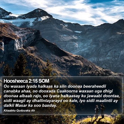 Hoosheeca 2:15 SOM Bible Verse Image