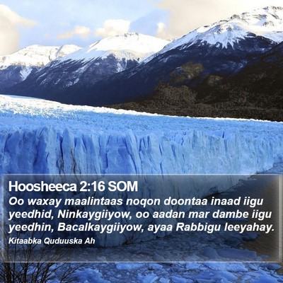Hoosheeca 2:16 SOM Bible Verse Image