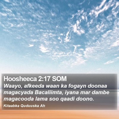 Hoosheeca 2:17 SOM Bible Verse Image