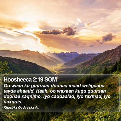 Hoosheeca 2:19 SOM Bible Verse Image