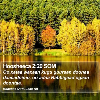 Hoosheeca 2:20 SOM Bible Verse Image