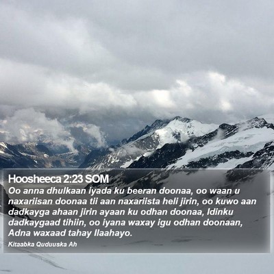 Hoosheeca 2:23 SOM Bible Verse Image