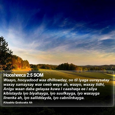 Hoosheeca 2:5 SOM Bible Verse Image