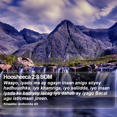 Hoosheeca 2:8 SOM Bible Verse Image