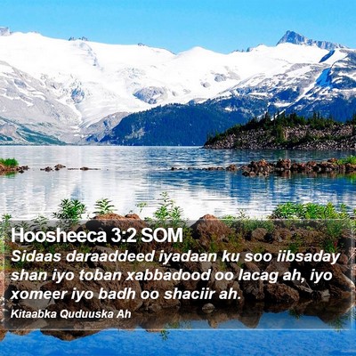 Hoosheeca 3:2 SOM Bible Verse Image