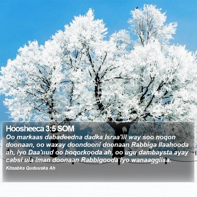 Hoosheeca 3:5 SOM Bible Verse Image