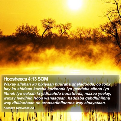 Hoosheeca 4:13 SOM Bible Verse Image