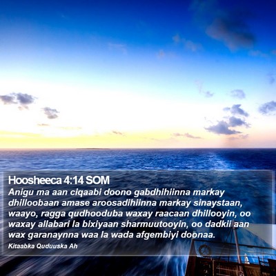 Hoosheeca 4:14 SOM Bible Verse Image