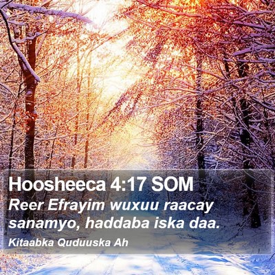 Hoosheeca 4:17 SOM Bible Verse Image