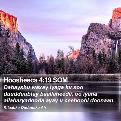 Hoosheeca 4:19 SOM Bible Verse Image