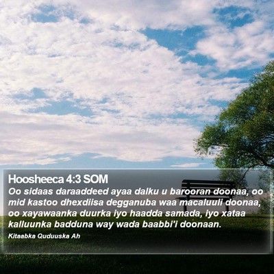 Hoosheeca 4:3 SOM Bible Verse Image