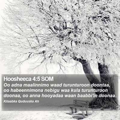 Hoosheeca 4:5 SOM Bible Verse Image