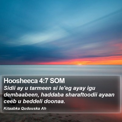 Hoosheeca 4:7 SOM Bible Verse Image