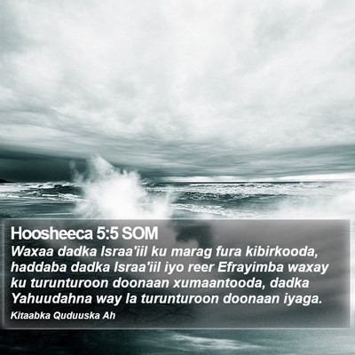 Hoosheeca 5:5 SOM Bible Verse Image