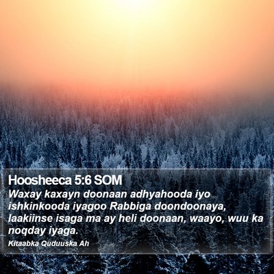 Hoosheeca 5:6 SOM Bible Verse Image