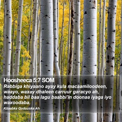 Hoosheeca 5:7 SOM Bible Verse Image