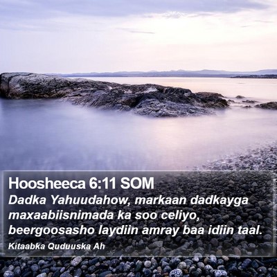 Hoosheeca 6:11 SOM Bible Verse Image