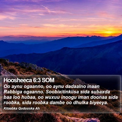 Hoosheeca 6:3 SOM Bible Verse Image