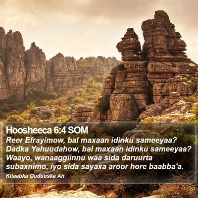 Hoosheeca 6:4 SOM Bible Verse Image