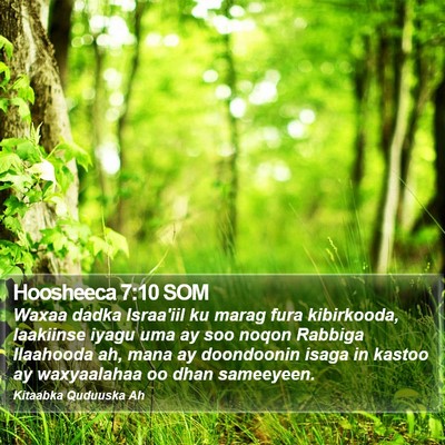 Hoosheeca 7:10 SOM Bible Verse Image