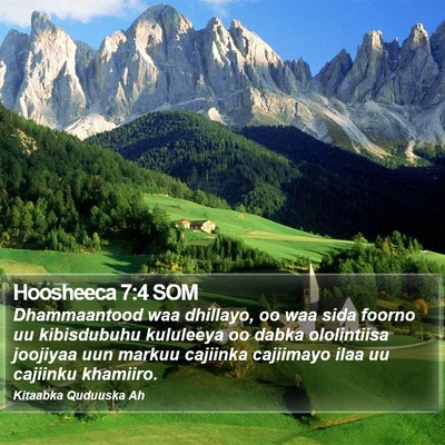 Hoosheeca 7:4 SOM Bible Verse Image