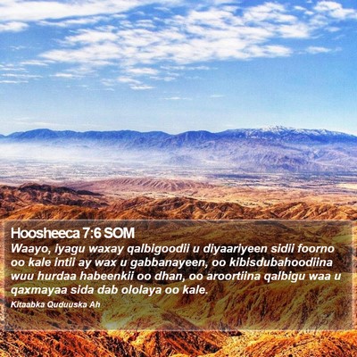 Hoosheeca 7:6 SOM Bible Verse Image