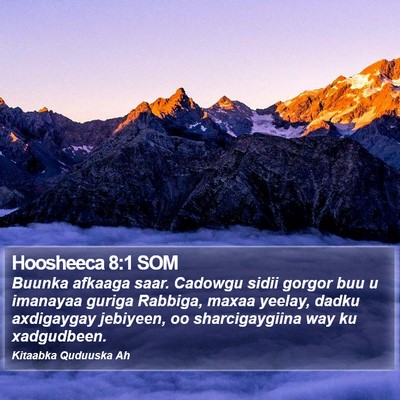 Hoosheeca 8:1 SOM Bible Verse Image