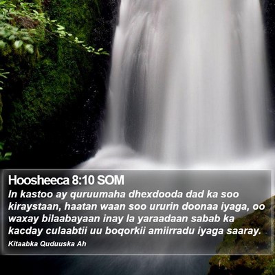 Hoosheeca 8:10 SOM Bible Verse Image