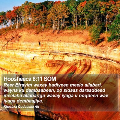 Hoosheeca 8:11 SOM Bible Verse Image