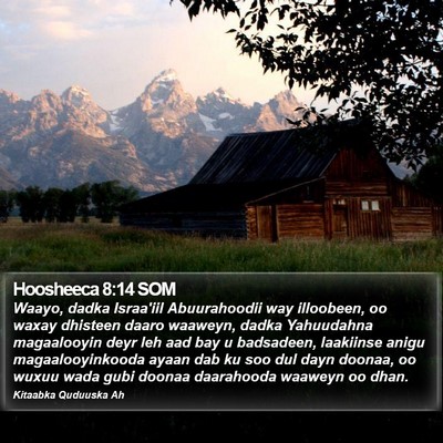Hoosheeca 8:14 SOM Bible Verse Image