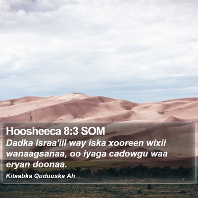 Hoosheeca 8:3 SOM Bible Verse Image