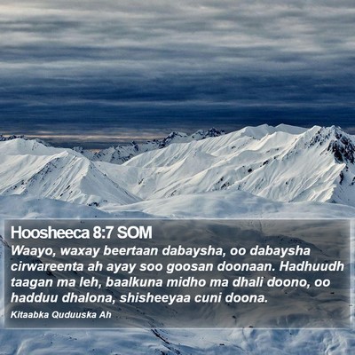 Hoosheeca 8:7 SOM Bible Verse Image