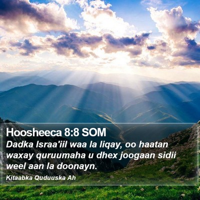 Hoosheeca 8:8 SOM Bible Verse Image