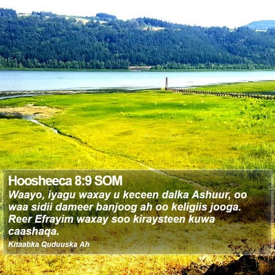 Hoosheeca 8:9 SOM Bible Verse Image