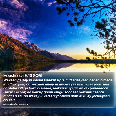 Hoosheeca 9:10 SOM Bible Verse Image