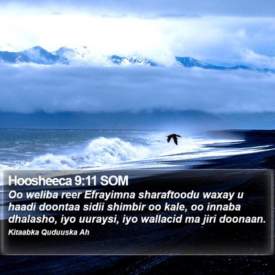 Hoosheeca 9:11 SOM Bible Verse Image