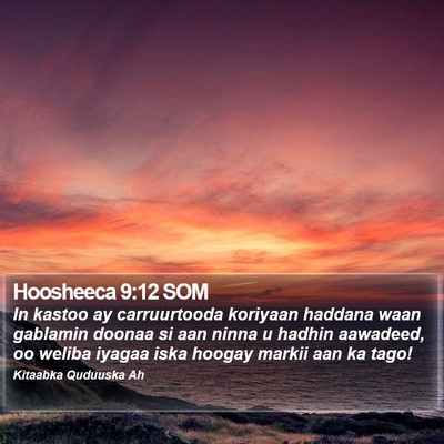 Hoosheeca 9:12 SOM Bible Verse Image
