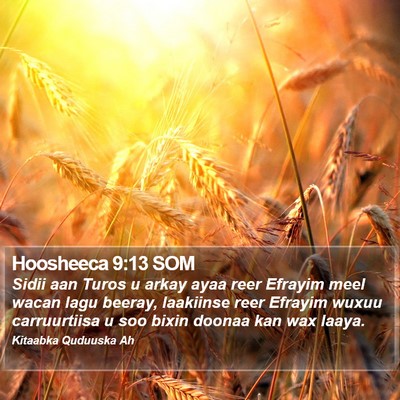 Hoosheeca 9:13 SOM Bible Verse Image