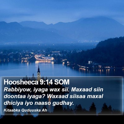 Hoosheeca 9:14 SOM Bible Verse Image