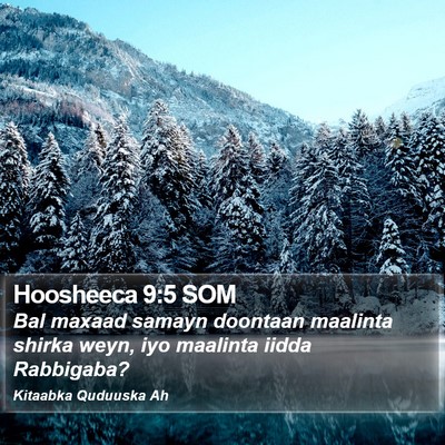 Hoosheeca 9:5 SOM Bible Verse Image