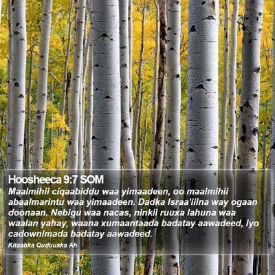 Hoosheeca 9:7 SOM Bible Verse Image