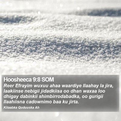 Hoosheeca 9:8 SOM Bible Verse Image