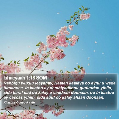 Ishacyaah 1:18 SOM Bible Verse Image