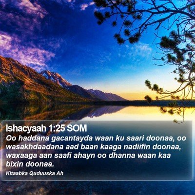 Ishacyaah 1:25 SOM Bible Verse Image