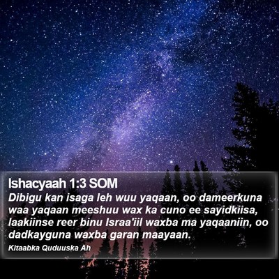 Ishacyaah 1:3 SOM Bible Verse Image