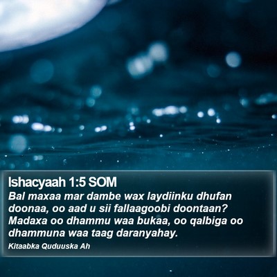 Ishacyaah 1:5 SOM Bible Verse Image