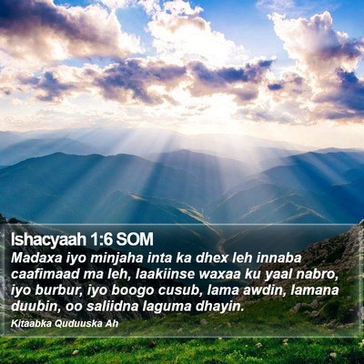 Ishacyaah 1:6 SOM Bible Verse Image