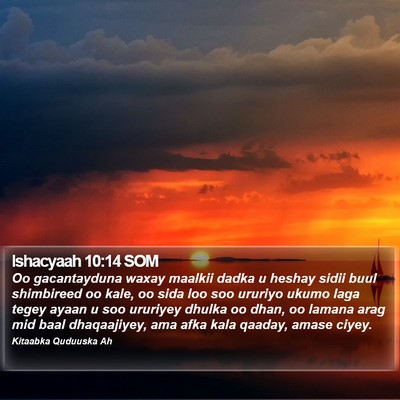 Ishacyaah 10:14 SOM Bible Verse Image