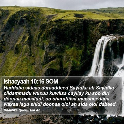 Ishacyaah 10:16 SOM Bible Verse Image